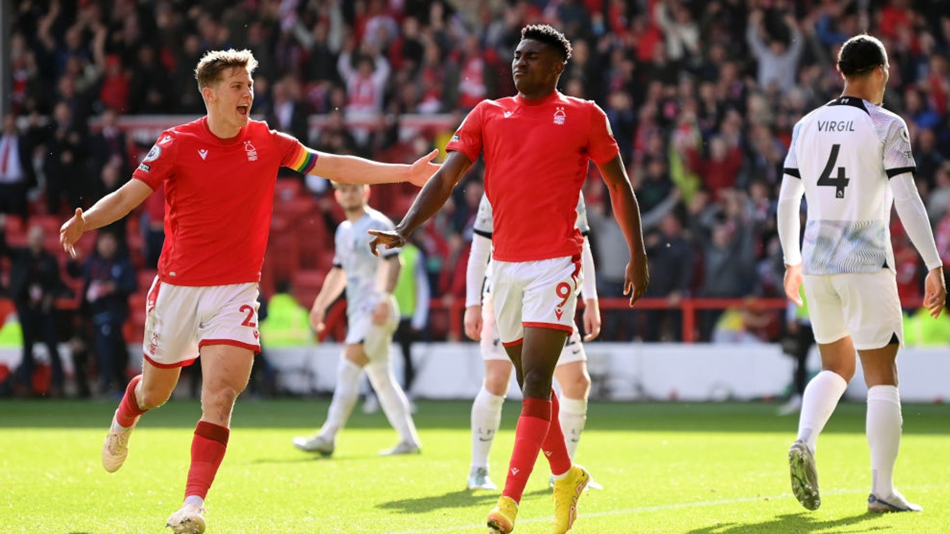 专项强化训 专项强化训